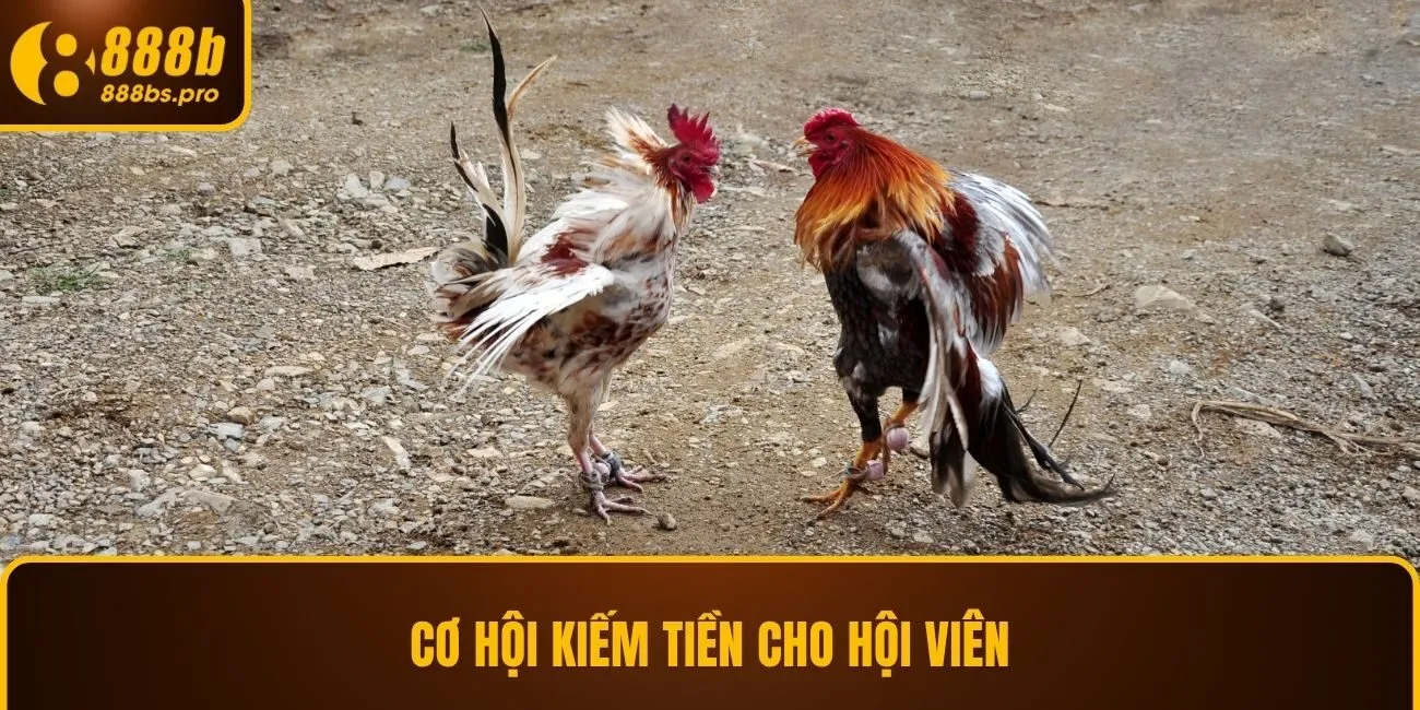 Cơ hội kiếm tiền cho hội viên