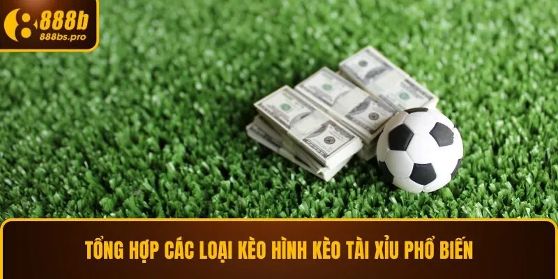 Tổng hợp các loại kèo hình kèo tài xỉu phổ biến