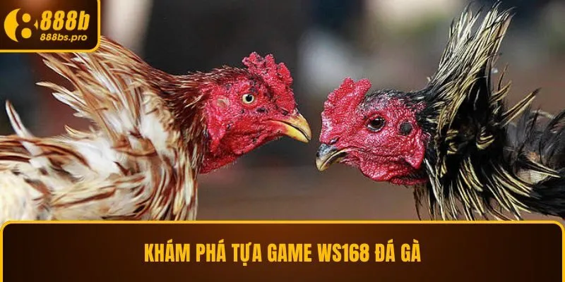 Khám phá tựa game WS168 đá gà